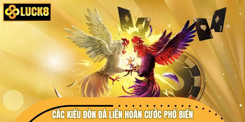 Các kiểu đòn đá liên hoàn cước phổ biến nhất