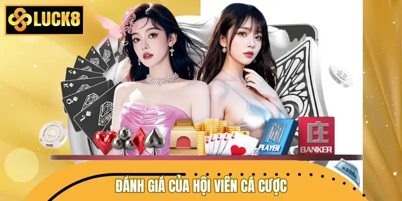 Đánh giá của hội viên cá cược về thương hiệu LUCK8