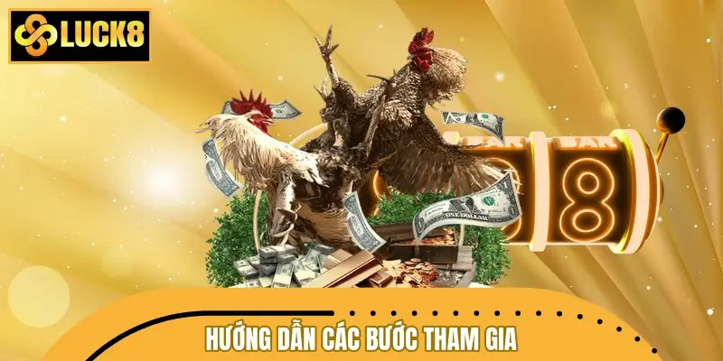 Hướng dẫn các bước tham gia đặt cược đá gà LUCK8 đơn giản